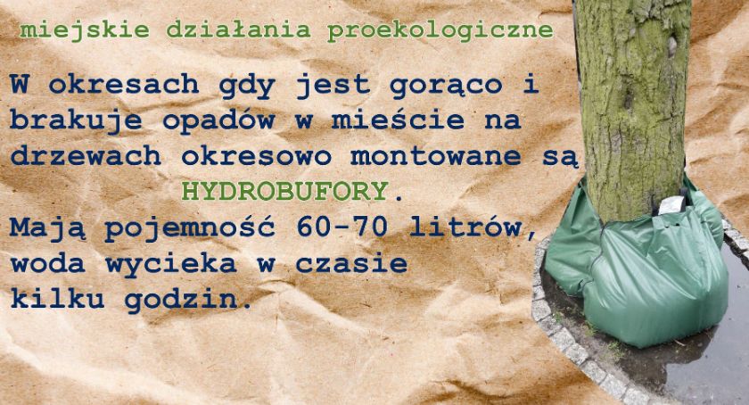Proekologiczne działania miejskie
