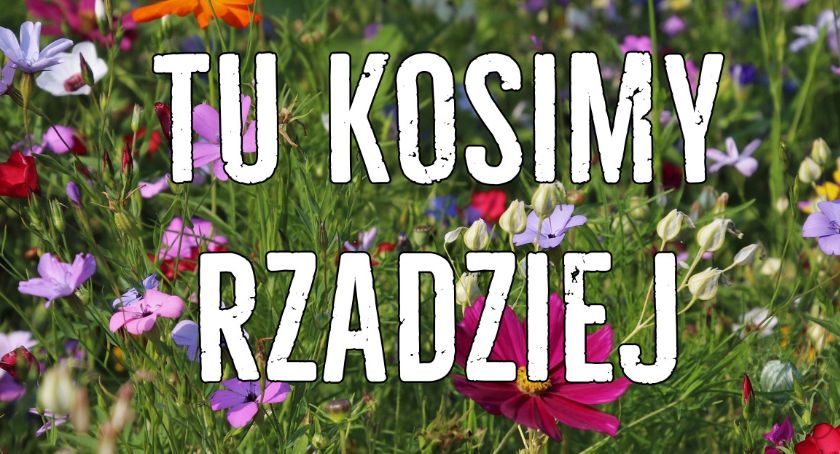 Jastrowie: Tu kosimy rzadziej