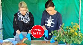 Z szacunku do chleba. Święto wypieku w Ratajach
