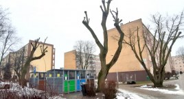 Przesadzili z przycinką, przesadzili z karą