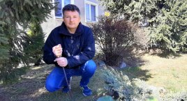 Największy szczur jakiego widziałem? Był jak bóbr!