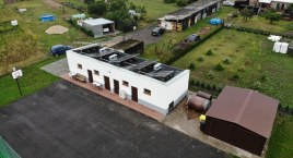 Bez zbędnych słów: szybka decyzja i czysty zysk