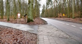 Co dalej ze ścieżką rowerową wzdłuż Zwierzyńca?