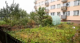 Koniec ogrodniczej samowolki przed blokami