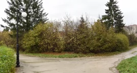 Umowa na tężnie podpisana, jedna oferta wystarczyła