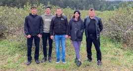 Dokąd Niezgódków zaprowadzi aronia?