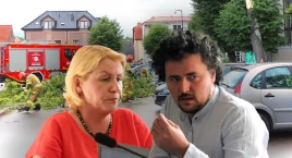 Złotów przegrywa z wichurami – niebezpieczne drzewa lecą, radni debatują