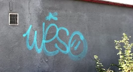 Na tropie nielegalnych graffiti. Kim, czym jest weso?