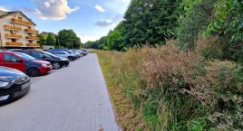 Trawa po szyję! Głos jednej kobiety silniejszy od dziesiątek sąsiadów