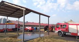 Tragedia w gospodarstwie pod Złotowem. Co stało się w chlewni? 