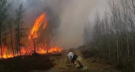 Lasy płoną jeden po drugim. Powiat złotowski szczególnie zagrożony