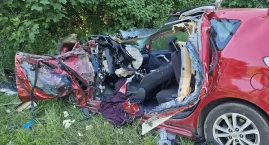 Zięć z teściem zginęli pod Podgajami