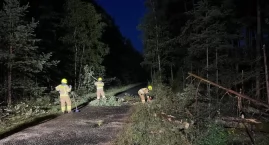 Nocna wichura uderzyła w powiat. Strażacy ruszyli do&hellip;