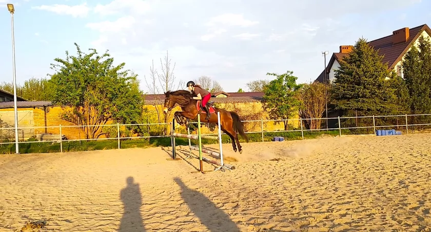 Kalendarz FEI w 2024 roku 