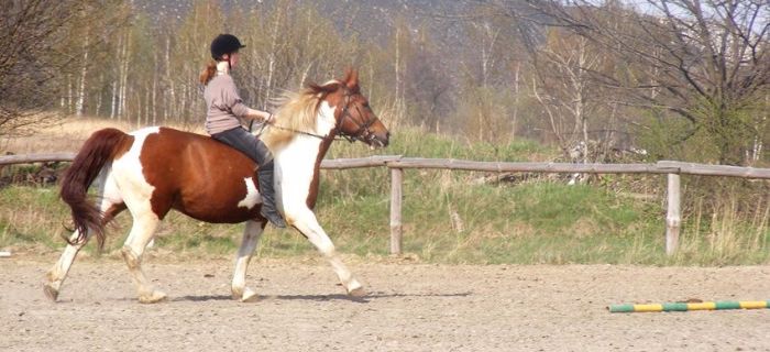 Ćwiczenia w siodle i na oklep