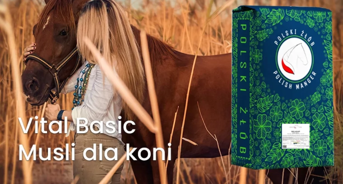 Dieta a samopoczucie konia: Jak nowoczesne żywienie wpływa na zdrowie i energię Twojego wierzchowca?     