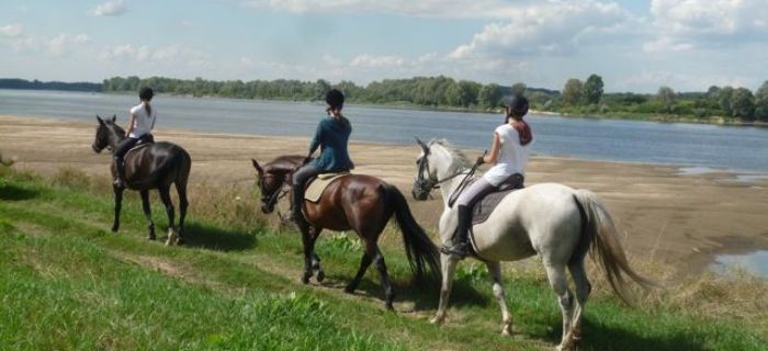 Majowka Konna w stajni Dorado-puszcza kampinoska-40km od W-wy