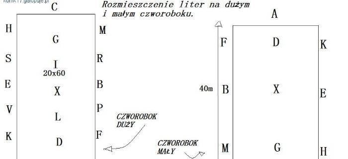 Czworobok do jazdy konnej - rodzaje czworoboku