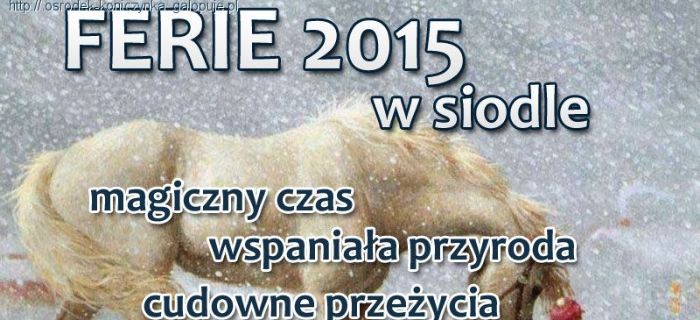 Ferie w siodle w Koniczynce na Kaszubach 2016