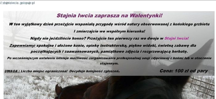 Walentynki w Stajni Iwcia