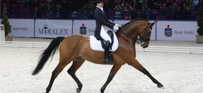 Halowe Zawody Ogólnopolskie w Ujeżdżeniu podczas Cavaliady 2015