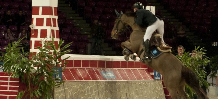 Cavaliada 2014/2015 - finał Warszawa