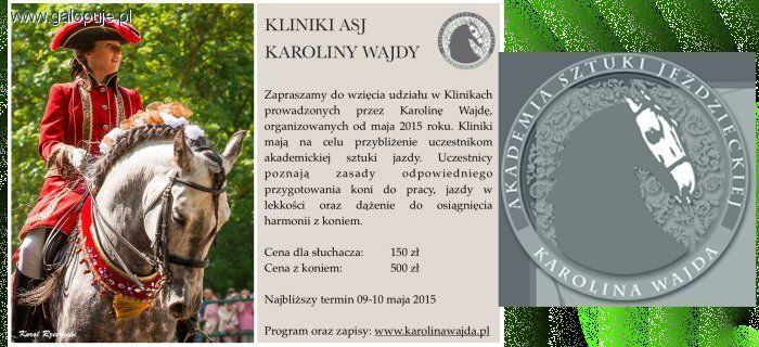 Akademia Sztuki Jeździeckiej