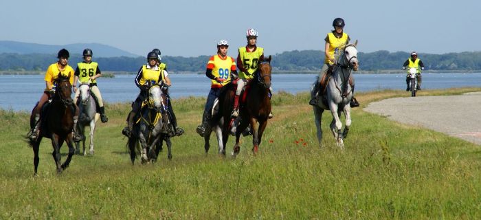 Sportowe Rajdy Konne