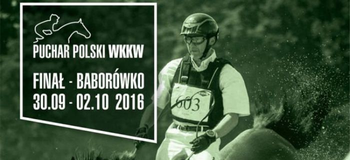 Baborówko Horse Sale Show 2016