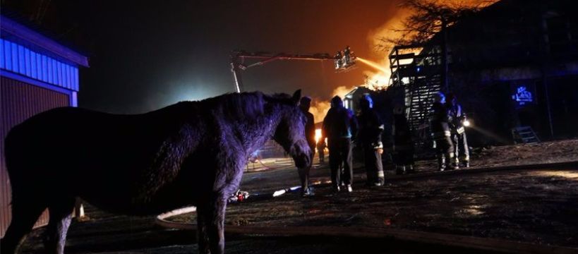 Tragiczny pożar stadniny: spłonęły zwierzęta