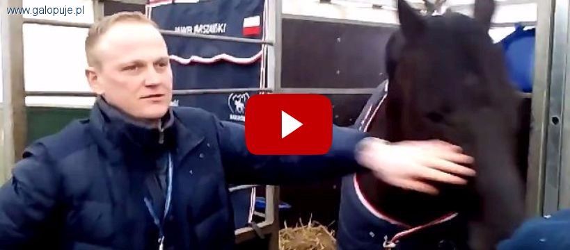 Cavaliada 2016 Warszawa : ostatnie przygotowania: film