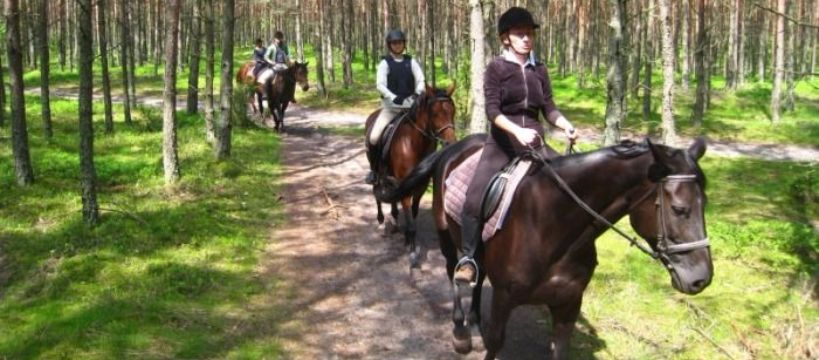 Wielkanoc 2016 w siodle - pełen pakiet, 50 koni, pomorskie lasy