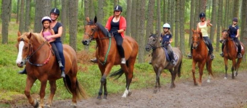 Boże Ciało 2016 w siodle - pełen pakiet, 50 koni, pomorskie lasy