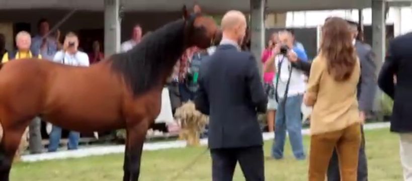 O zmianach w stadninach koni arabskich