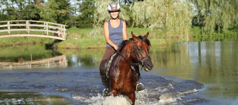 Obozy i półkolonie jeździeckie LATO 2016 Stadnina Pod Lasem
