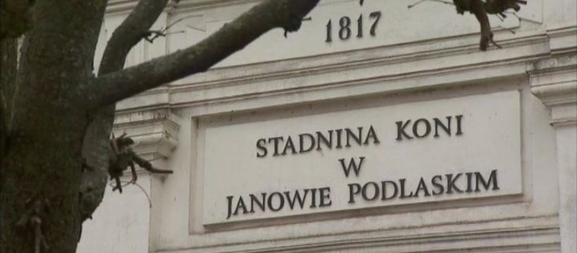 Janów Podlaski: nie żyje kolejna klacz, Shirley Watts zabiera pozostałe konie