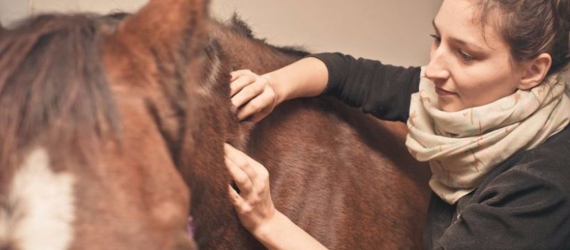 Warsztaty Fizjoterapii i Rehabilitacji Koni z JUSTYNĄ KAMIŃSKĄ (11-12.06.2016)