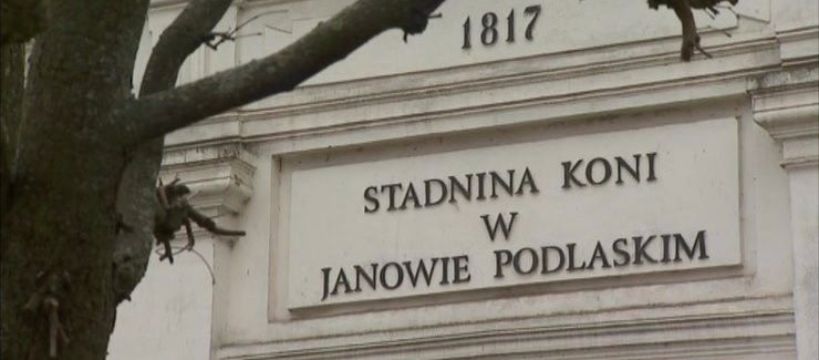 Nowy prezes Stadniny w Janowie – 6 czerwca rozstrzygnięcie konkursu