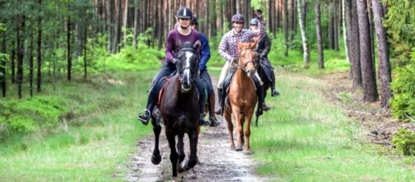 Jeździectwo dla wymagających