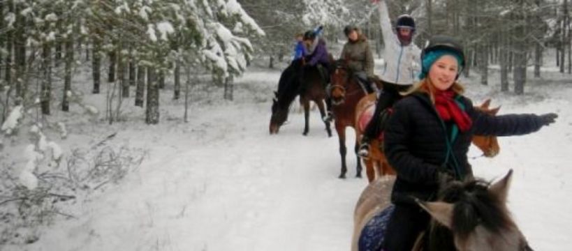 Ferie w siodle 2017 - najbardziej jeździecki obóz czeka!