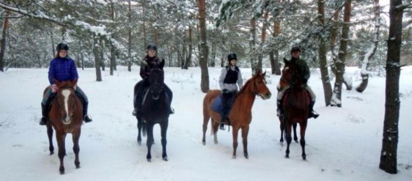 Ferie w siodle 2017 - najbardziej jeździecki obóz czeka!
