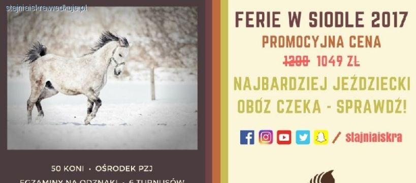 Ferie w siodle 2017 - najbardziej jeździecki obóz czeka!