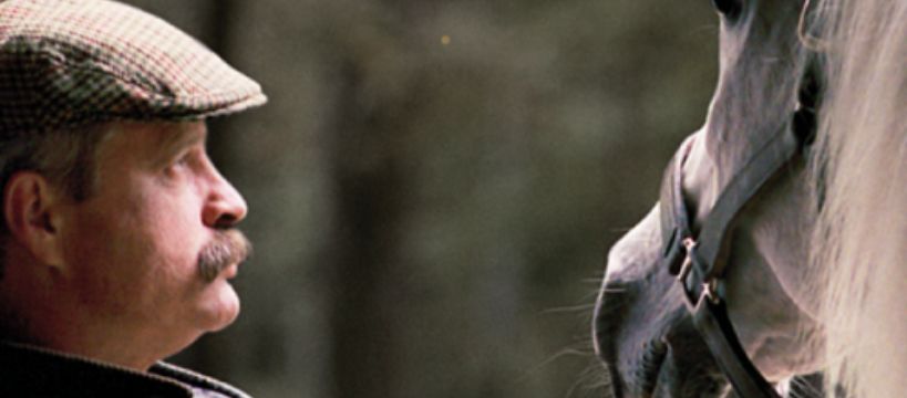 Marek Trela Moje konie Moje życie – książka Ewy Bagłaj