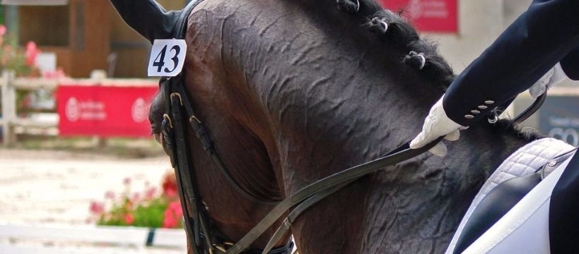 Cavaliada Warszawa 2017