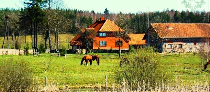 Obozy Jeździeckie Młodzieżowe Mazury 2017