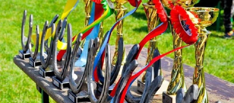 Baltic Cup 2018 / Towarzyskie Zawody w Skokach Przez Przeszkody Stajnia Iskra