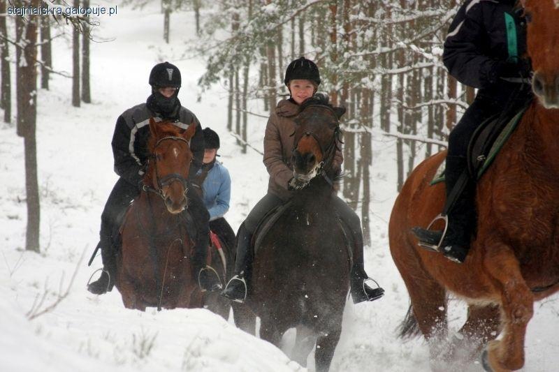 Ferie w siodle 2016 - wszystkie województwa, trwają zapisy!