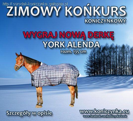 Zimowy konkurs Koniczynkowy