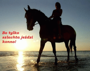 Przejażdżka w terenie i galop.