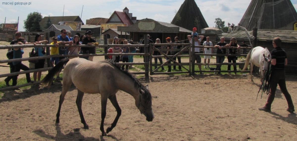 Piknik Jeździecki w Dziki Zachód Zieleniowo